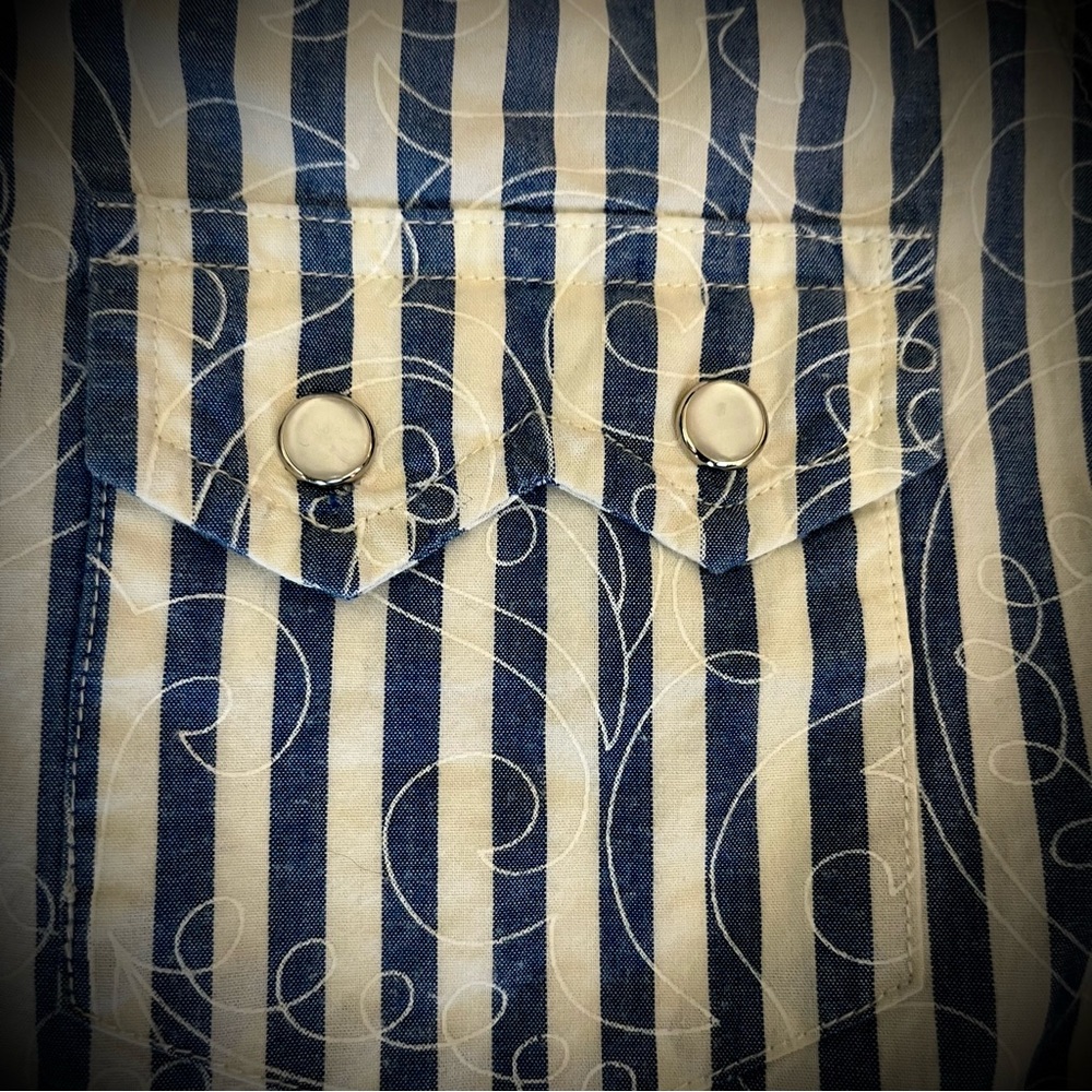 Roper Blue and White Western Striped Sleeveless snap front shirt L - Picture 3 of 6